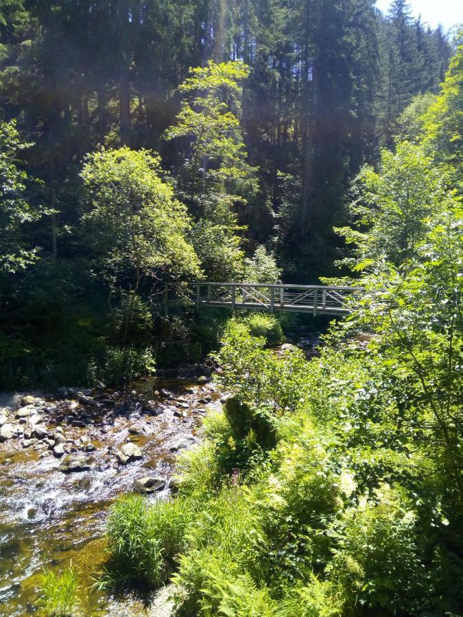 Waldrast Lenzkirch