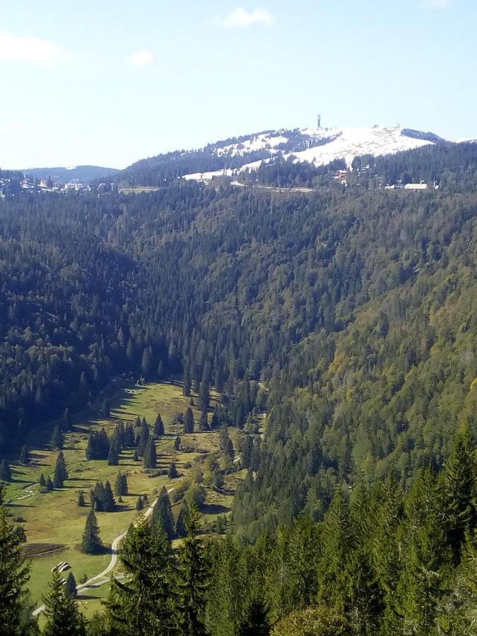 Waldrast Appartement